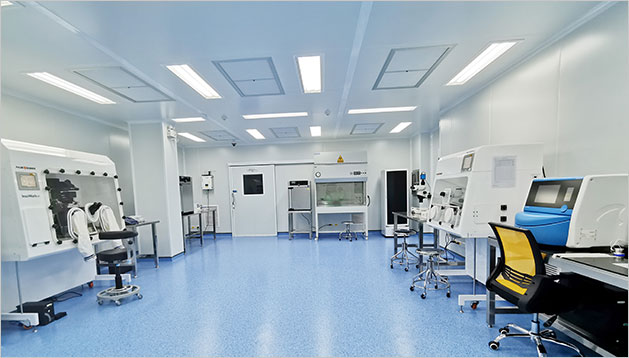 代怀期间子宫内膜厚度标准解析